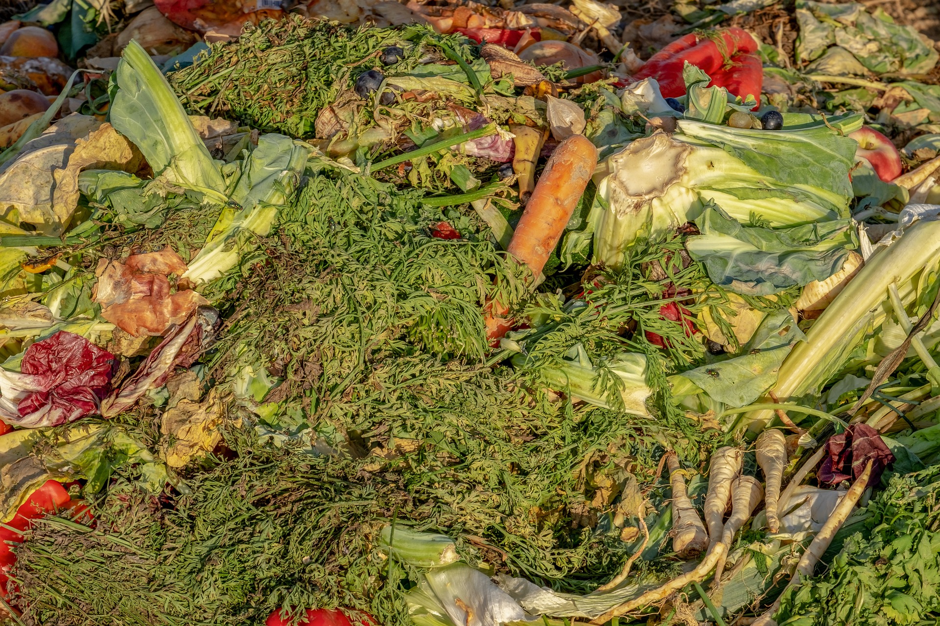 Kompostierung ist ein wichtiger Baustein von zero-waste