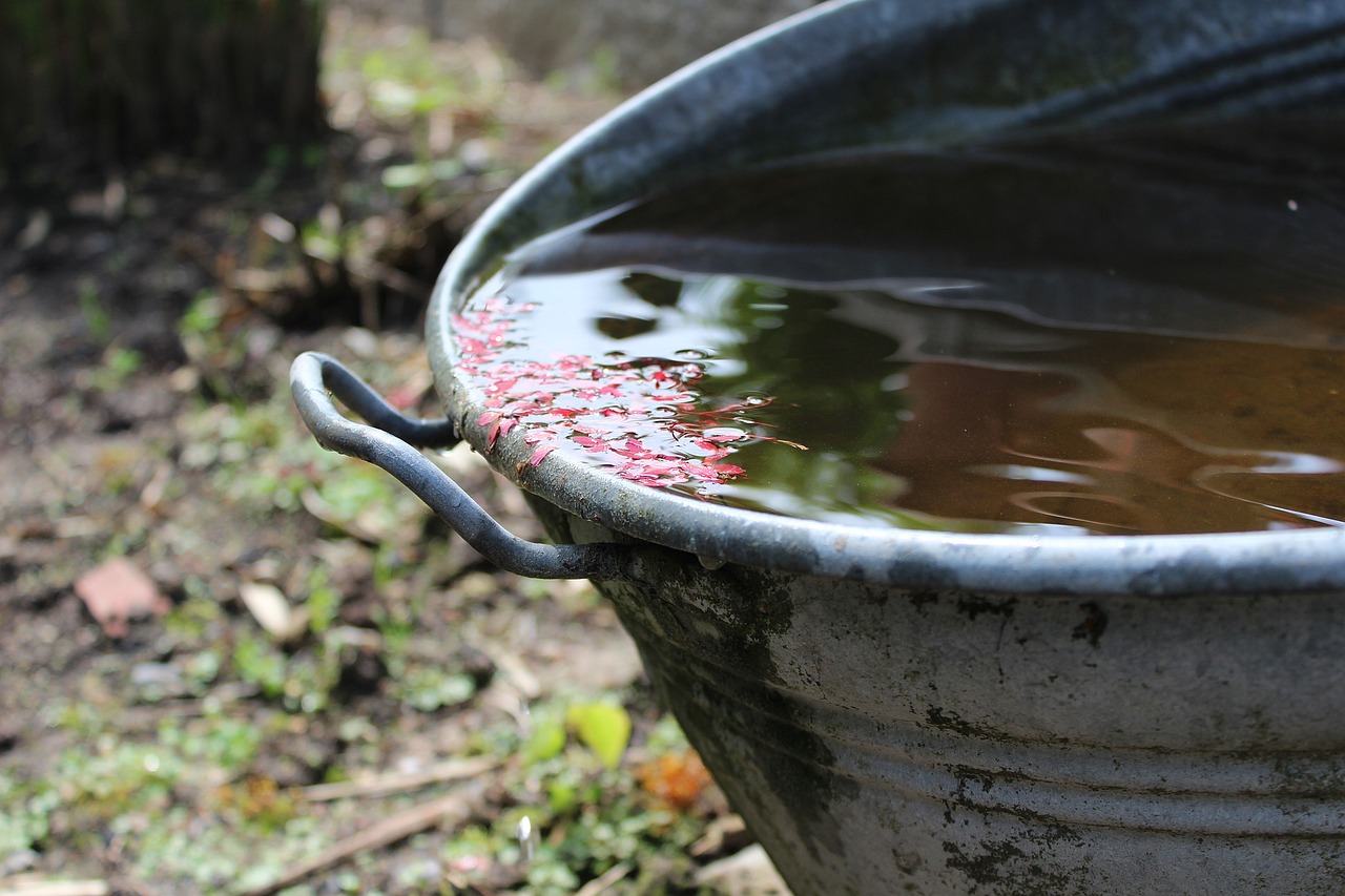 Regenwasser sammeln schont die Ressourcen